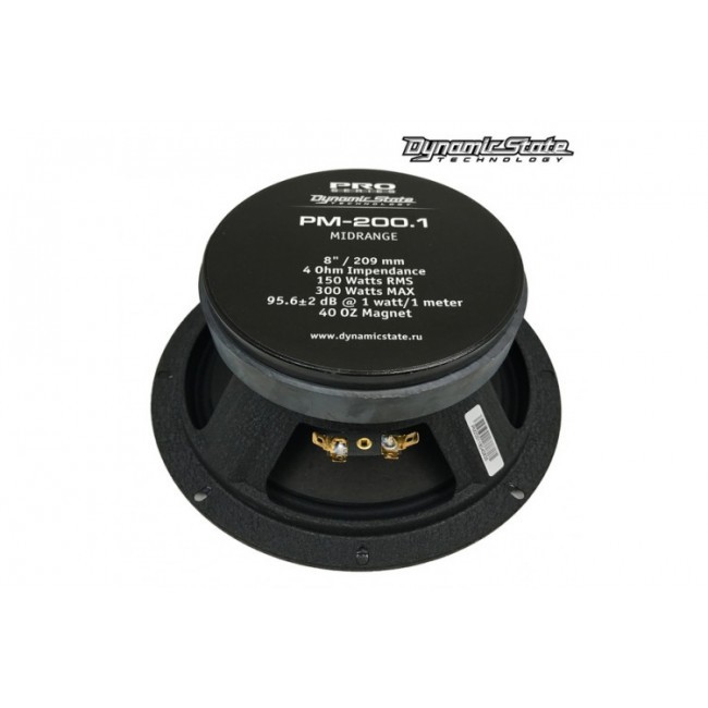 Акустика Dynamic State PM-200.1 (пара) 