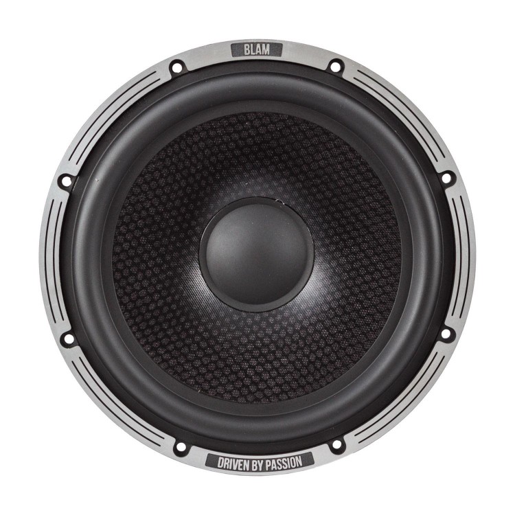 Акустика Blam LW200P 