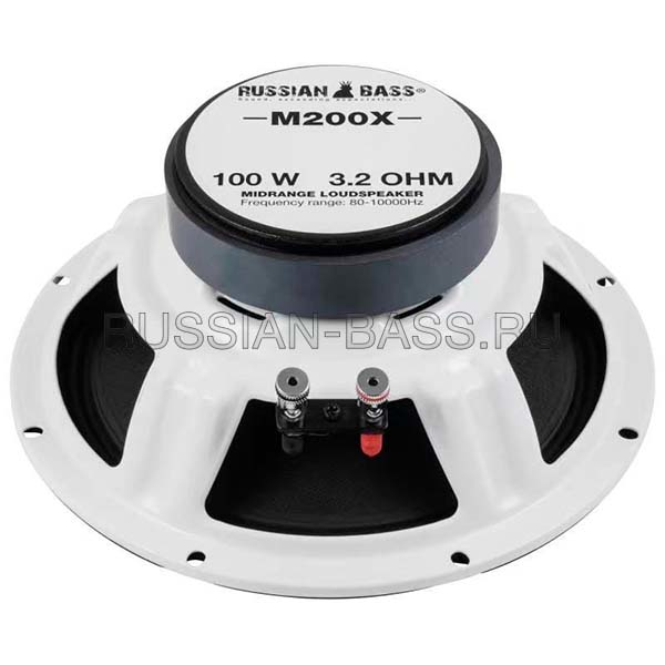Акустика RUSSIAN BASS M200X 100Вт (4 Ом) 