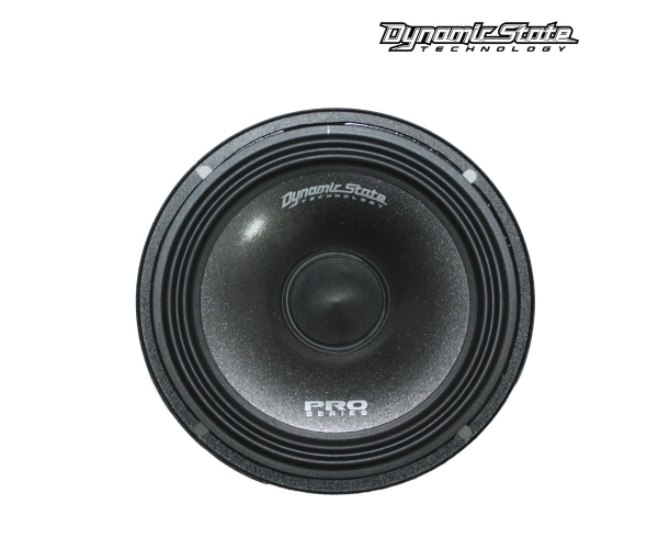 Акустика Dynamic State PM-165.3 Pro Series (1 шт.) Акустика Dynamic State PM-165.3 Pro Series (1 шт.)