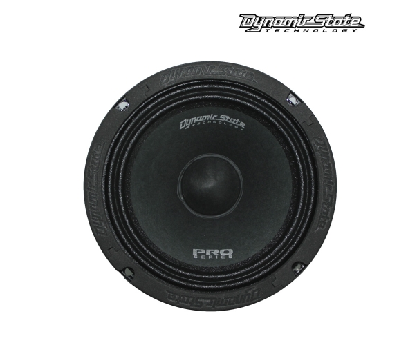 Акустика Dynamic State PM-165.1 Pro Series (1 шт.) Акустика Dynamic State PM-165.1 Pro Series (1 шт.)